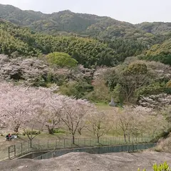 昭和池公園
