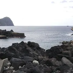 八重根港