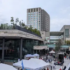 二子玉川ライズ・楽天クリムゾンハウス