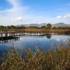 華明生態公園
