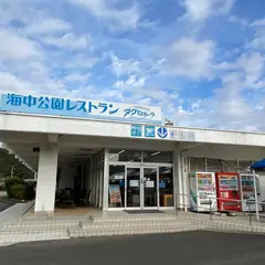 海中公園レストラン アクロポーラ ACROPORA