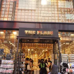 THE PLAIN