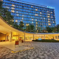 カプリ バイ フレイザー チャンギ シティ シンガポール