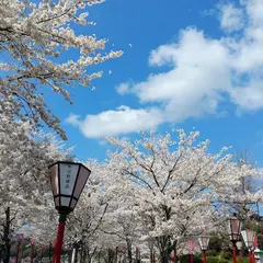 丸子山公園