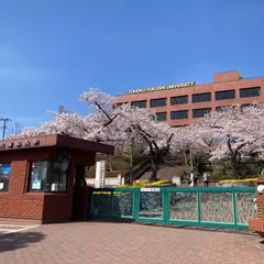 東北福祉大前（バス）