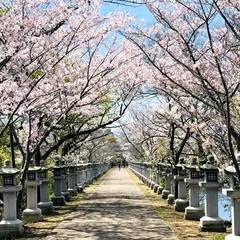 竜桜公園