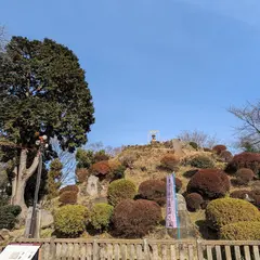 田子山富士塚
