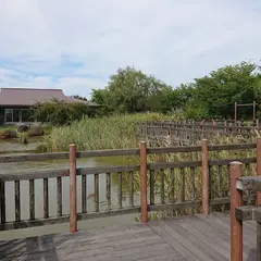 大江山公園