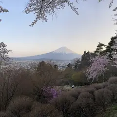 富士見孝徳公園