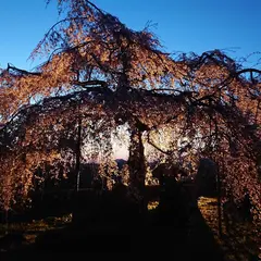 宝厳寺
