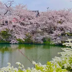 今泉名水桜公園