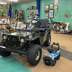 ブローシス