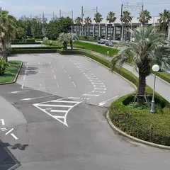 東京ディズニーランド タクシー降車場