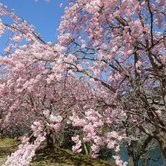 玉川ダム公園