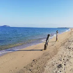 唐子浜
