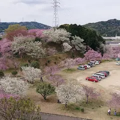 幸田文化公園