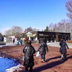 函館市民の森駐車場