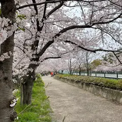 蓬川緑地