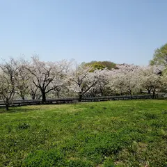 石畑公園