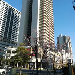 武蔵浦和駅西口広場