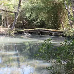 専修寺庭園