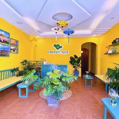 Clover Spa - Best Spa Massage Da Lat