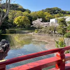 鶴岡八幡宮