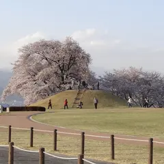 岡・銚子塚古墳