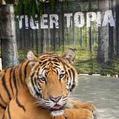 Tiger Topia Sriracha Zoo ไทเกอร์โทเปีย