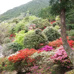 浮岳幸花樹園
