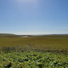フレシマ湿原