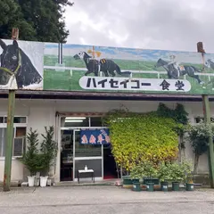 ハイセイコー食堂