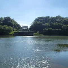 つくし湖