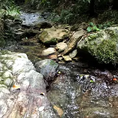石川市民の森公園