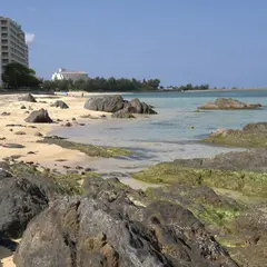 リザンシーパークビーチ