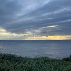 サンセットパームライン
