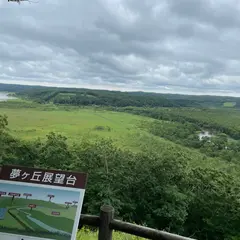 達古武木道