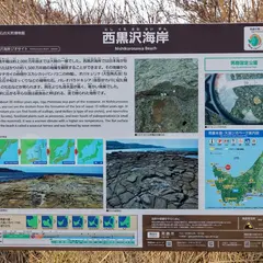 西黒沢海岸(化石の)天然博物館