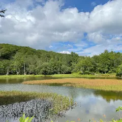 あざみ池