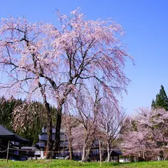 貞麟寺