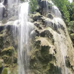 Tumalog Falls