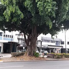 Cairns Fujii Store