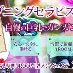 Berry‘ｓFarm（ベリーズファーム）
