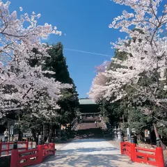 まんまる保育園