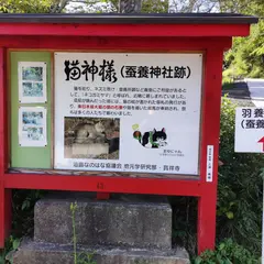 猫神様（蚕養神社跡、羽養権現社跡）