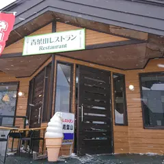 青葉山レストラン