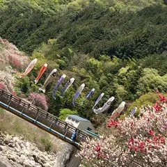 月川温泉の花桃