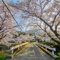 仲島水辺公園