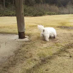 志賀町せせらぎ自然公園