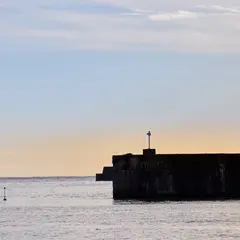 金浦漁港